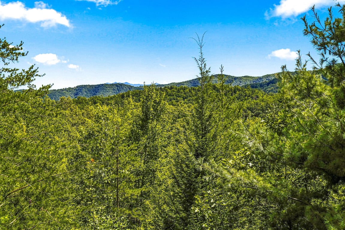 HIGHLAND VIEW