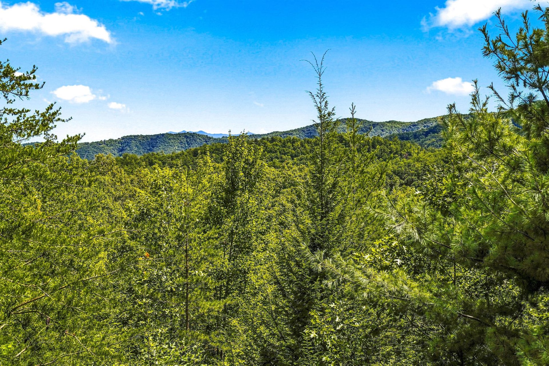 A pristine natural landscape surrounds the property, with lush green forests and mountain ranges creating a serene backdrop. Daytime capture highlights the areas tranquil beauty.