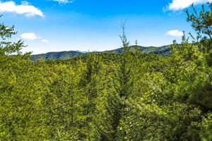A pristine natural landscape surrounds the property, with lush green forests and mountain ranges creating a serene backdrop. Daytime capture highlights the areas tranquil beauty.