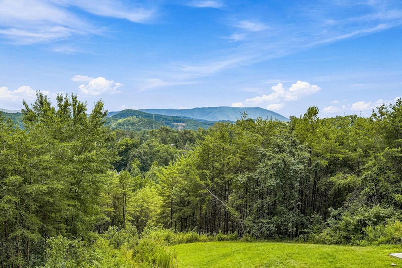 Stunning mountain views stretch across lush green forests, offering a peaceful backdrop to this scenic property.