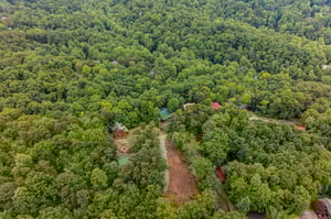 views around Moonlit Pines