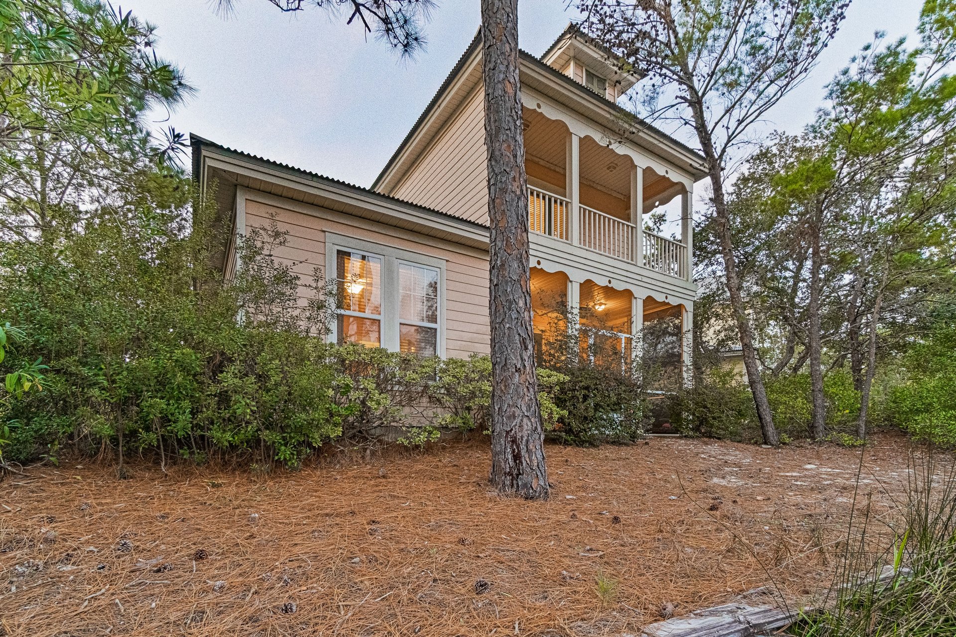 Mandevilla at Martinique 34