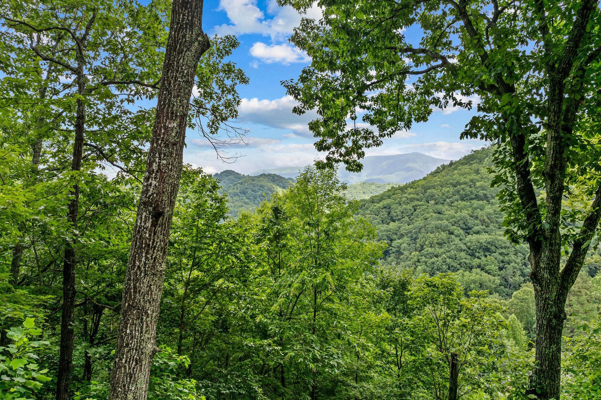 mountainmoonshine26