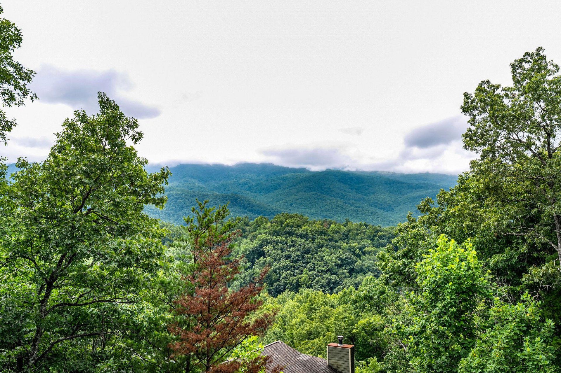 dancinginthemoonlight29