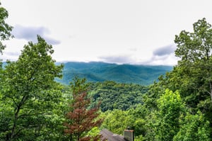 dancinginthemoonlight29