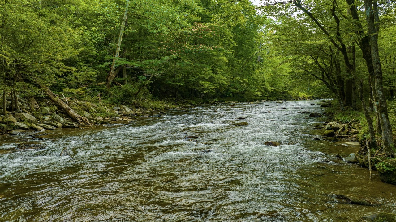 River