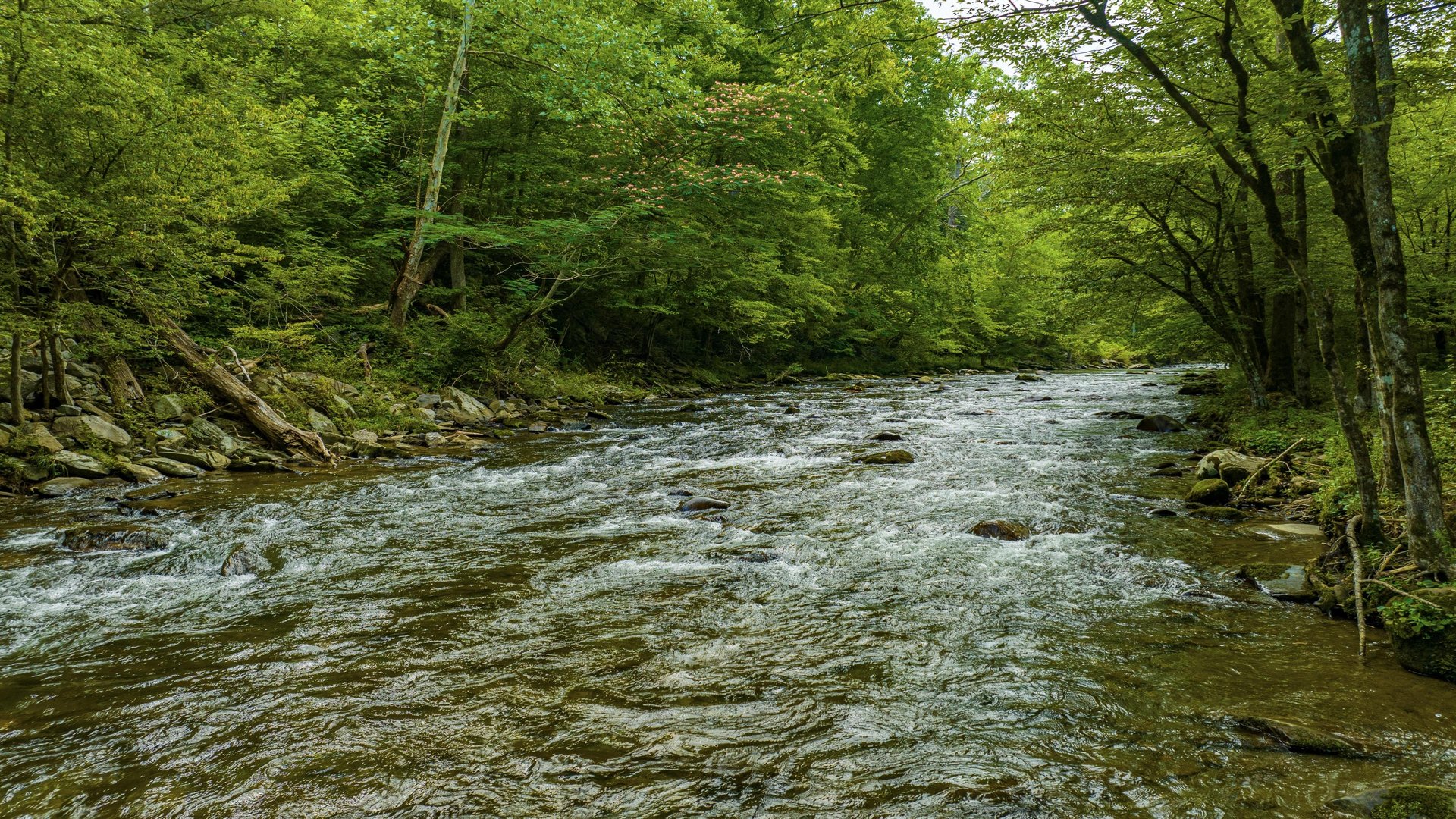 River