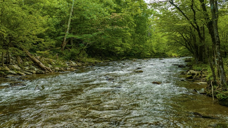 River