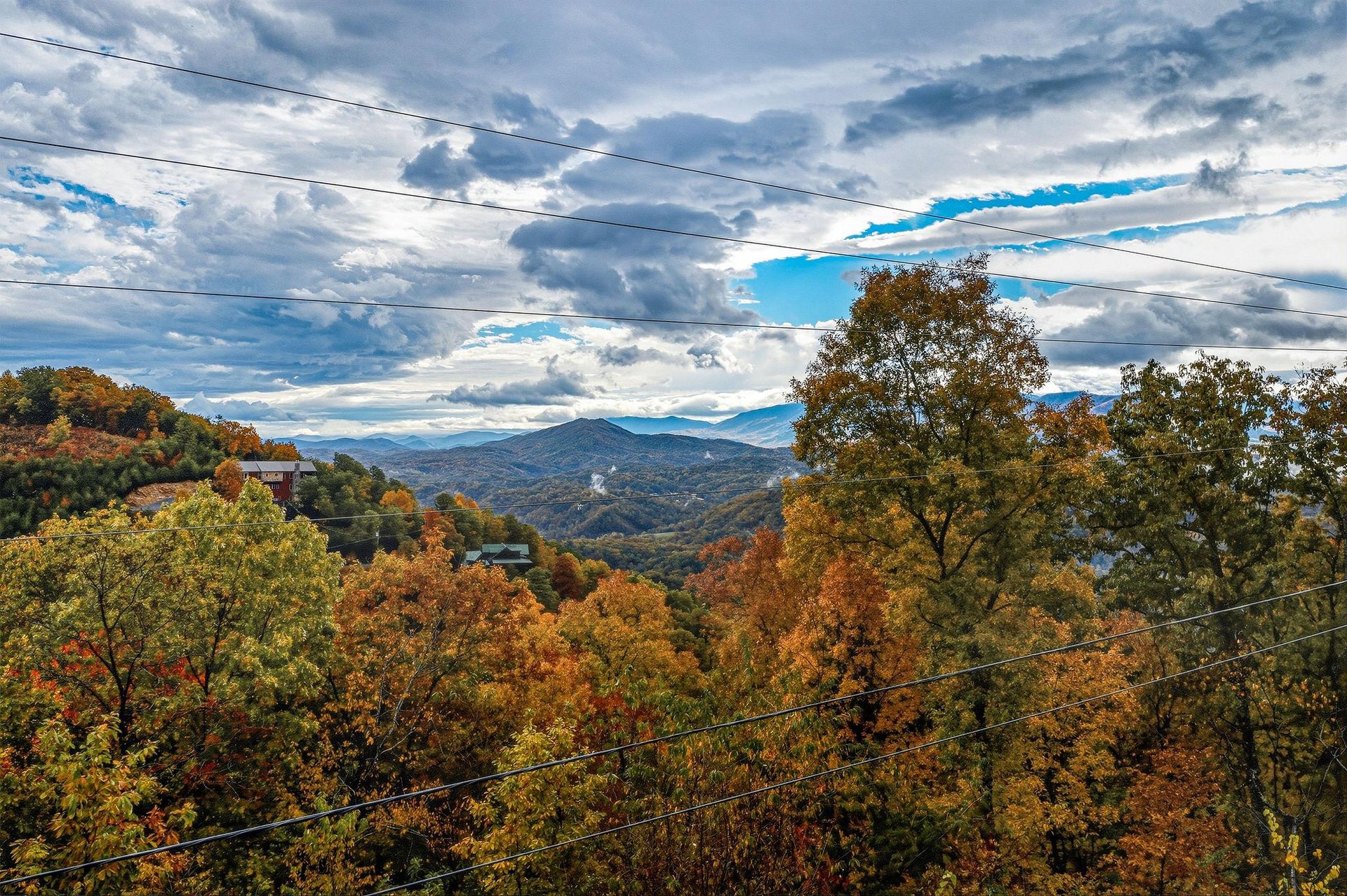 sweetbearolineextupdate13