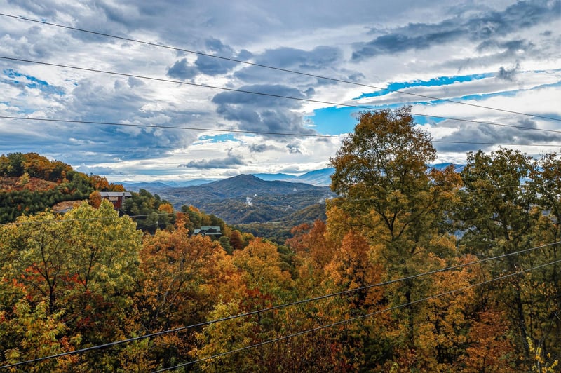 sweetbearolineextupdate13