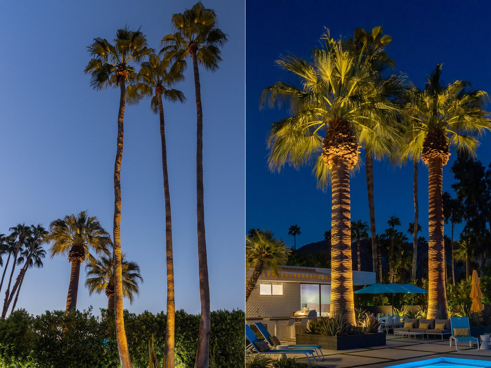 Palm Springs vibes