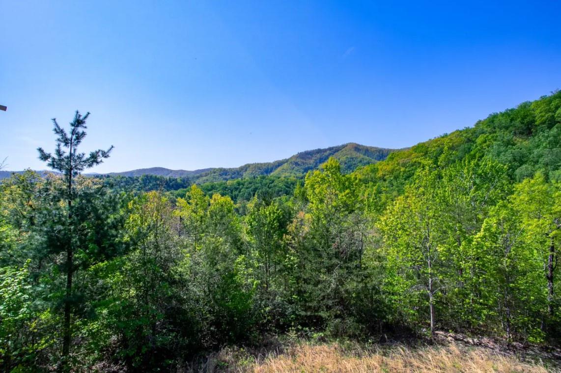Lush, forested mountains surround the property, offering a peaceful natural setting away from the bustle of daily life.