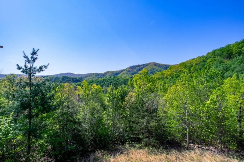 Lush, forested mountains surround the property, offering a peaceful natural setting away from the bustle of daily life.