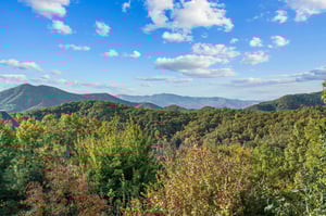 1greatmountainviewfall5