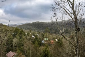 preciousview13
