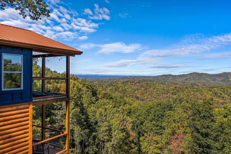 otterbeswimmingfall8