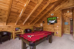 Pool table and television