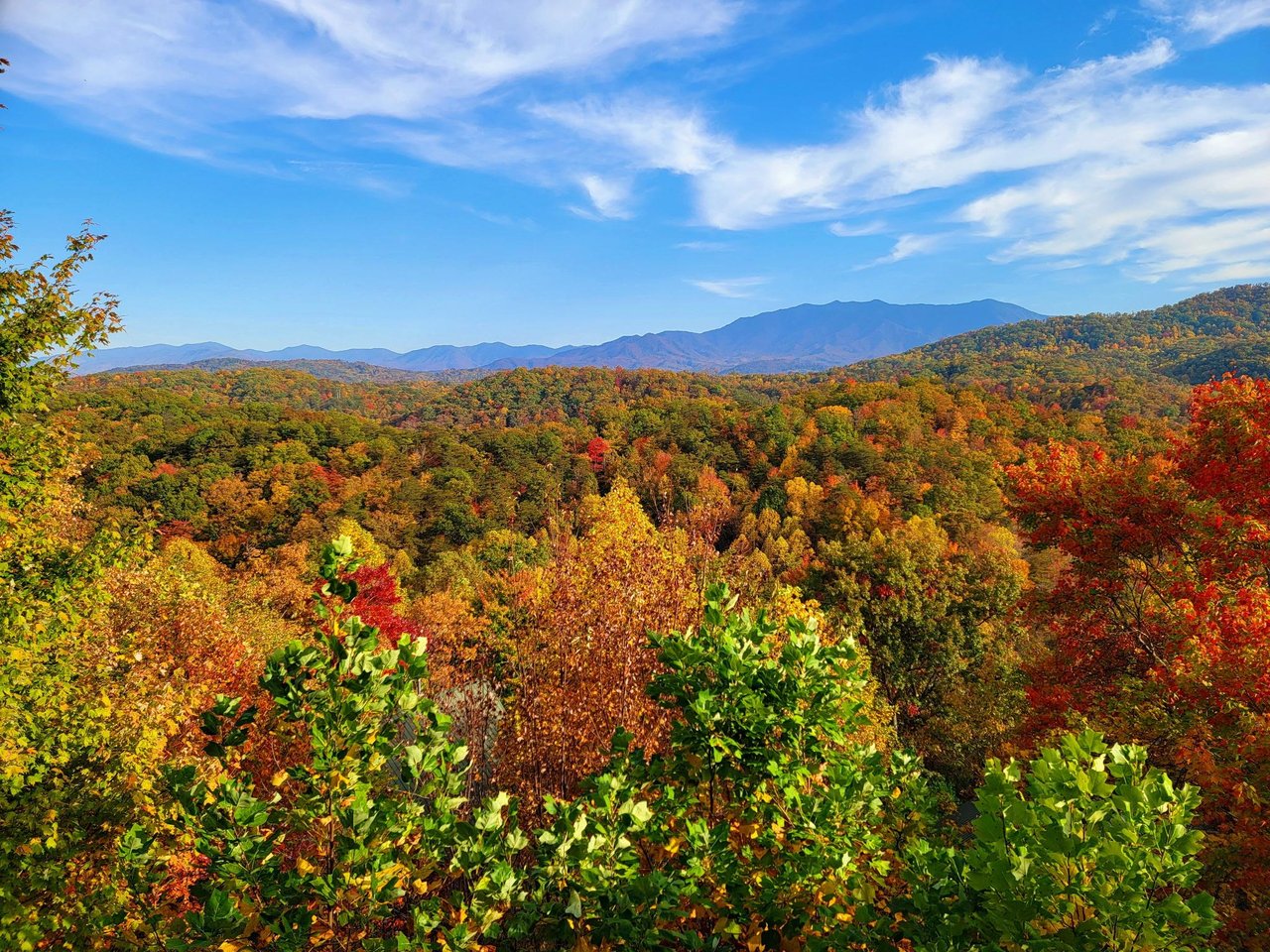Exterior Shot View Autumn