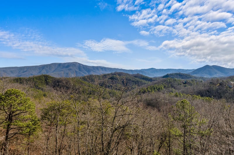 Width1920