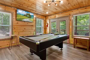 pool table, TV, natural lighting with balcony access