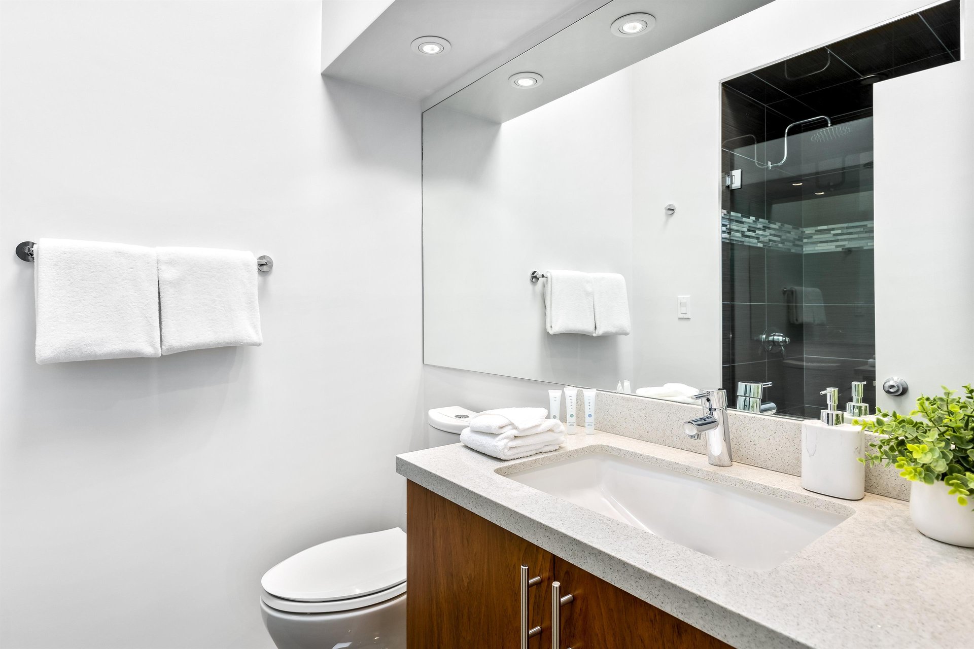 Guest bathroom