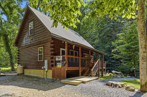 A charming log cabin nestled in lush woods, featuring a welcoming covered porch and surrounded by towering trees and natural beauty.