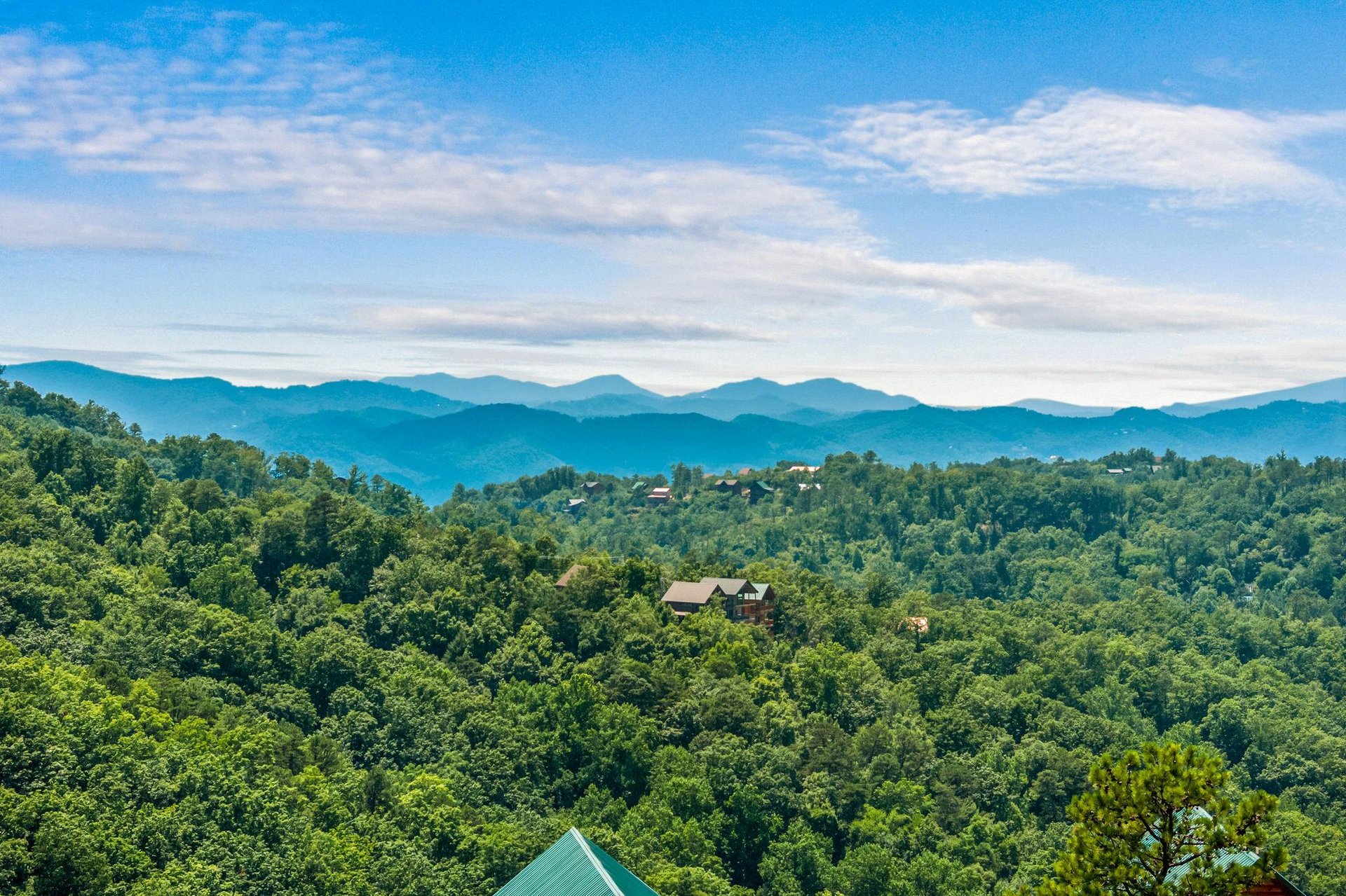 aerial shot