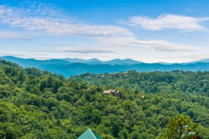 aerial shot