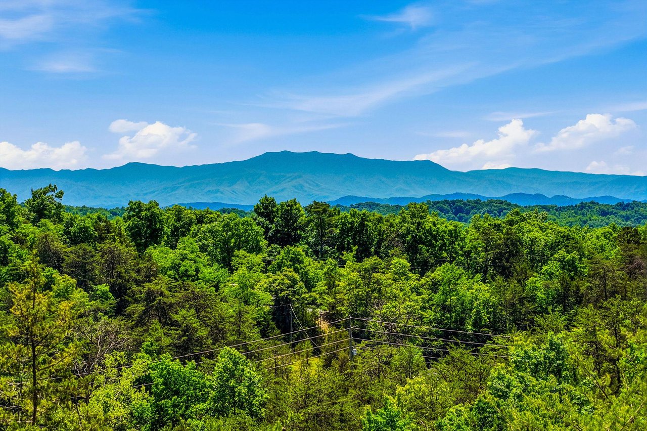 Lush green forest canopy stretches beneath dramatic mountain ridges, framing the propertys naturally stunning setting and serene location.