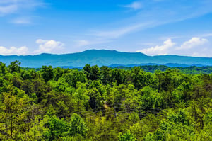 Lush green forest canopy stretches beneath dramatic mountain ridges, framing the propertys naturally stunning setting and serene location.