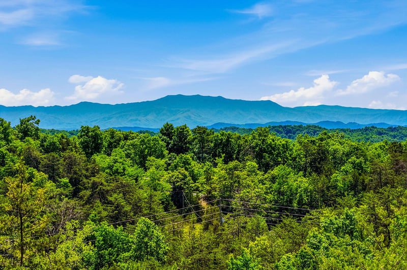 Lush green forest canopy stretches beneath dramatic mountain ridges, framing the propertys naturally stunning setting and serene location.