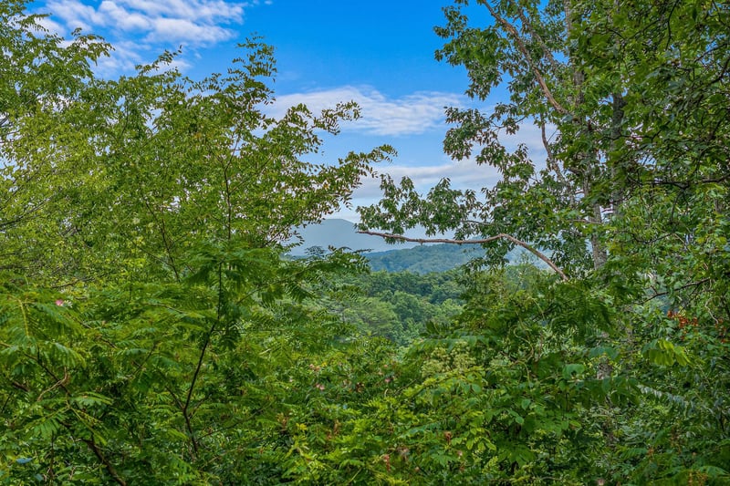 Summer view at Beary Good Time, a 1bedroom cabin rental located in Pigeon Forge
