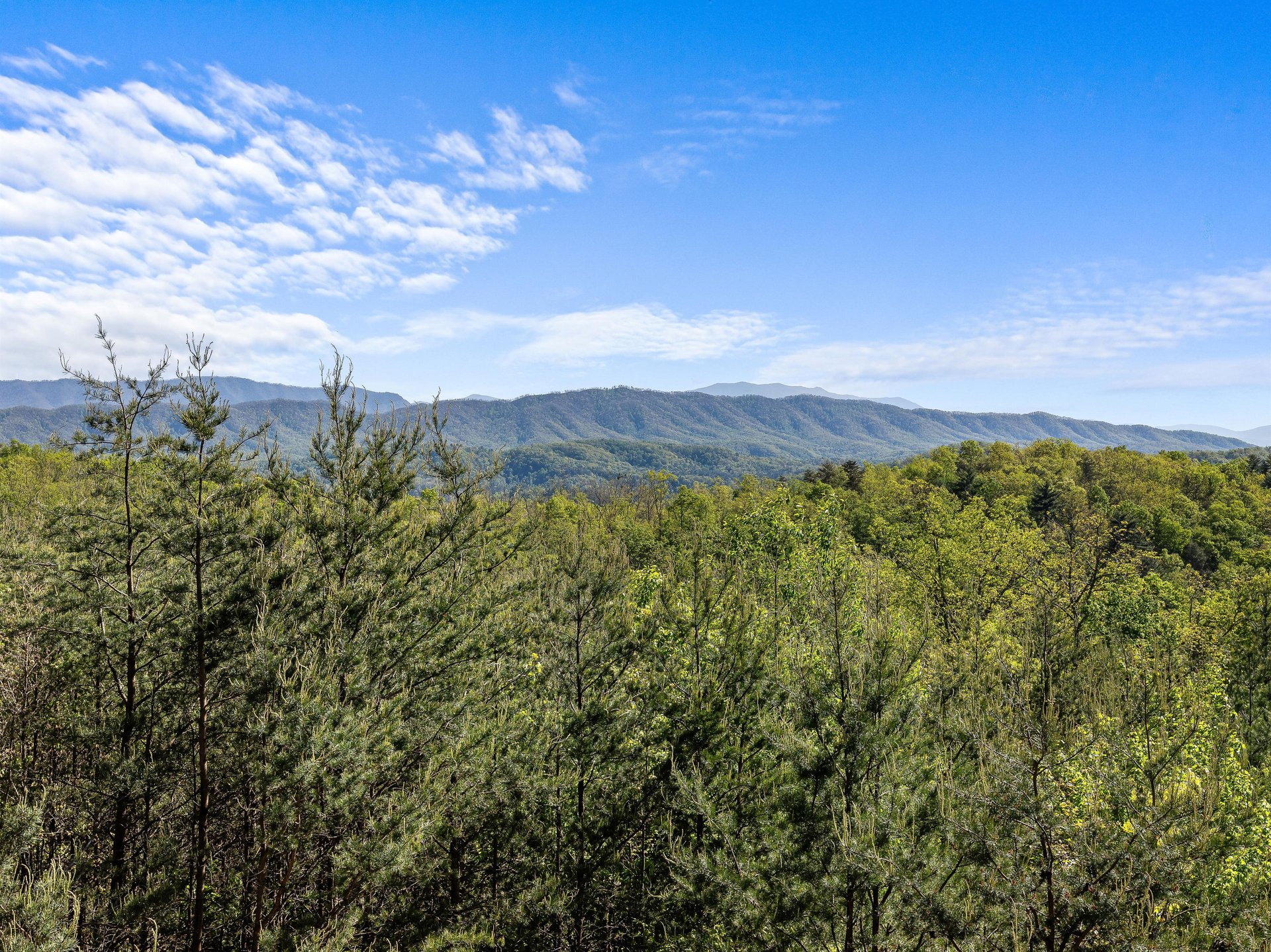 View from Mountain Bliss cabin
