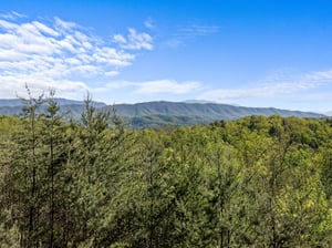View from Mountain Bliss cabin