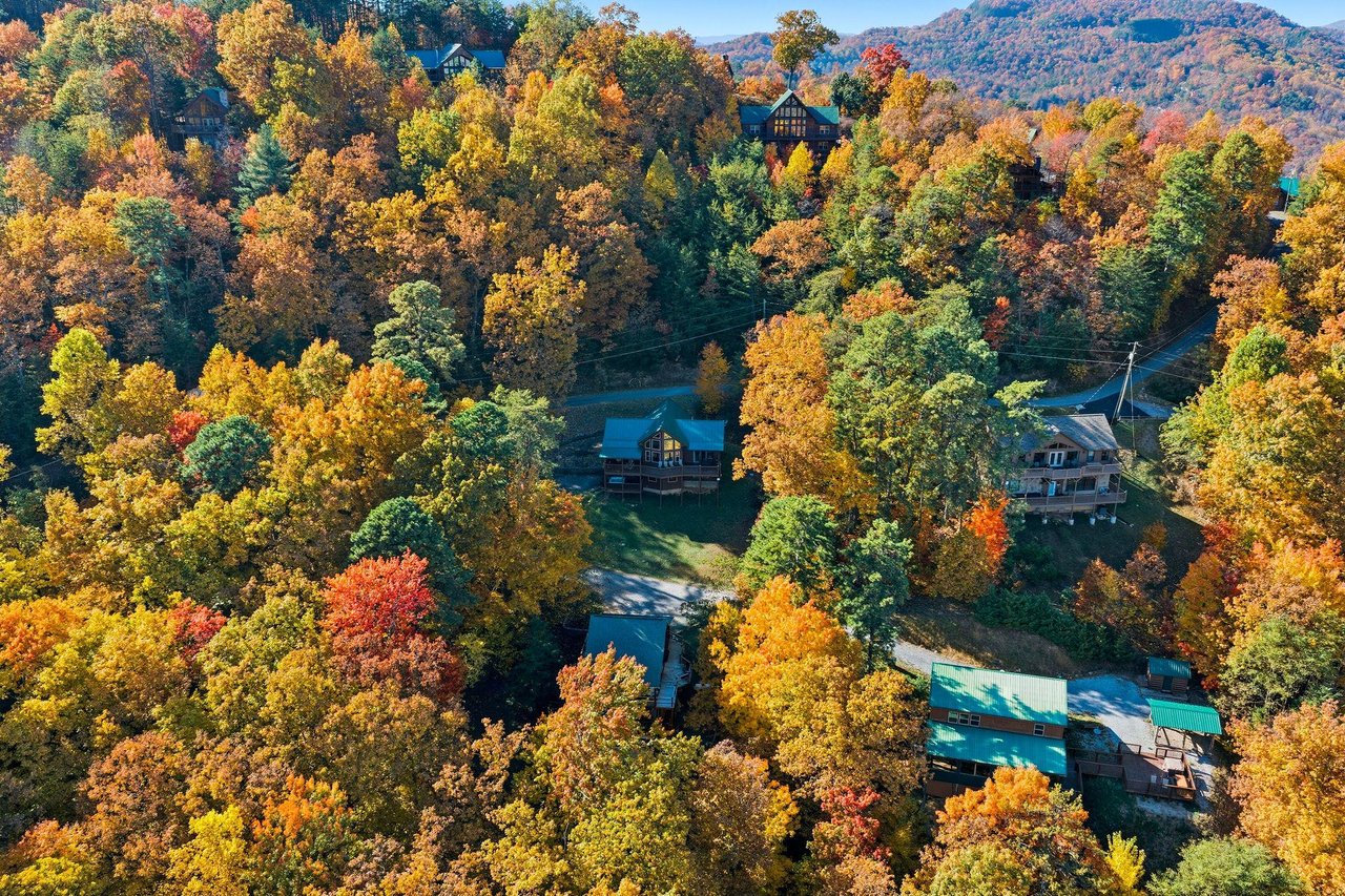 bearmontlodge69
