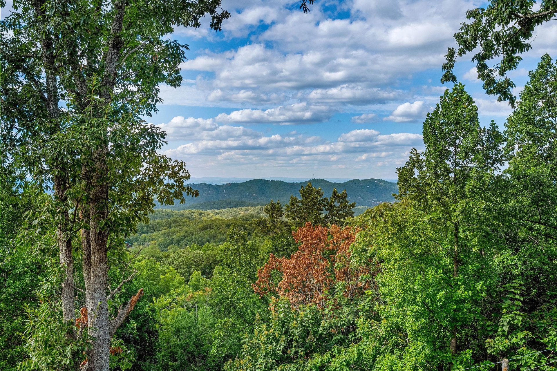 Views from Heavenly Haven