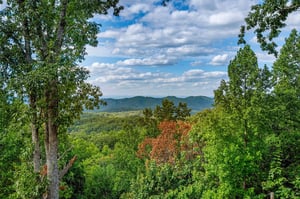 Views from Heavenly Haven