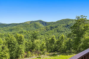 Panoramic mountain landscape featuring lush forested ridges beneath clear blue skies, with verdant tree canopy in the foreground showcasing the propertys natural surroundings.
