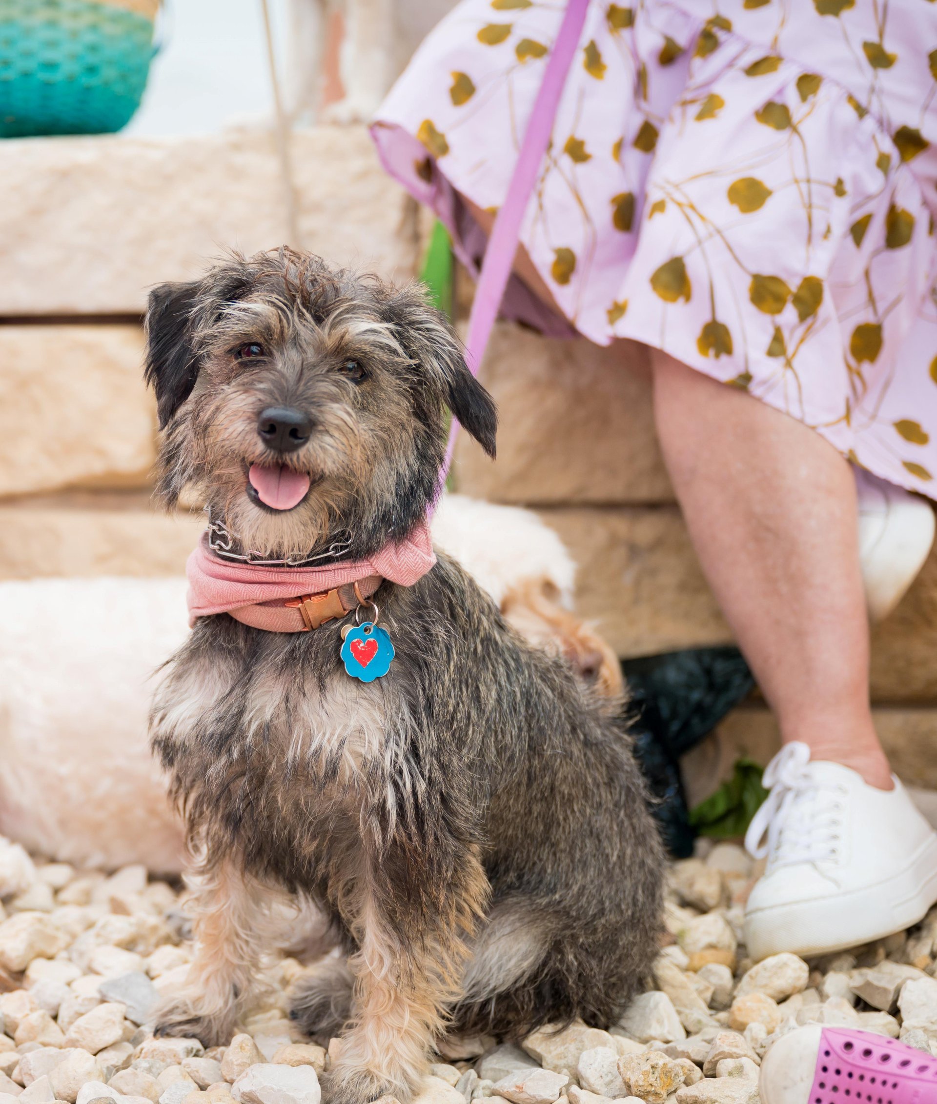 220416CinnamonShore023_cropped