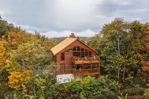 sweetbearolineextupdate17