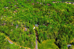 Aerial view reveals a peaceful wooded retreat nestled among dense forest canopy with neighboring cabins scattered throughout the natural landscape.