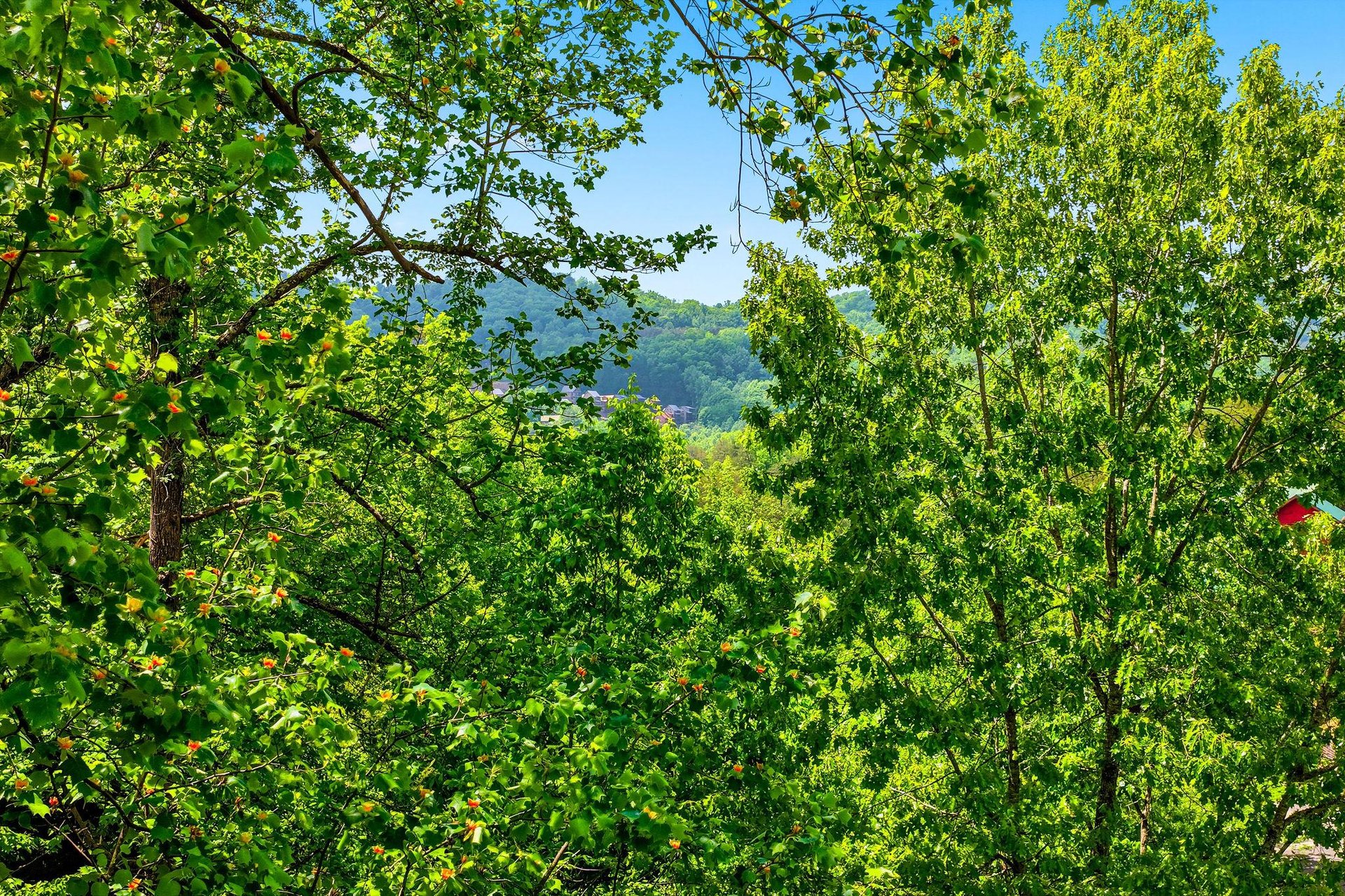 Lush green forest canopy with rolling hills and village rooftops visible in the distance beneath a clear blue sky.