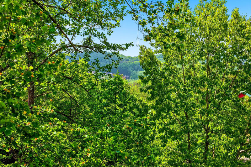 Lush green forest canopy with rolling hills and village rooftops visible in the distance beneath a clear blue sky.