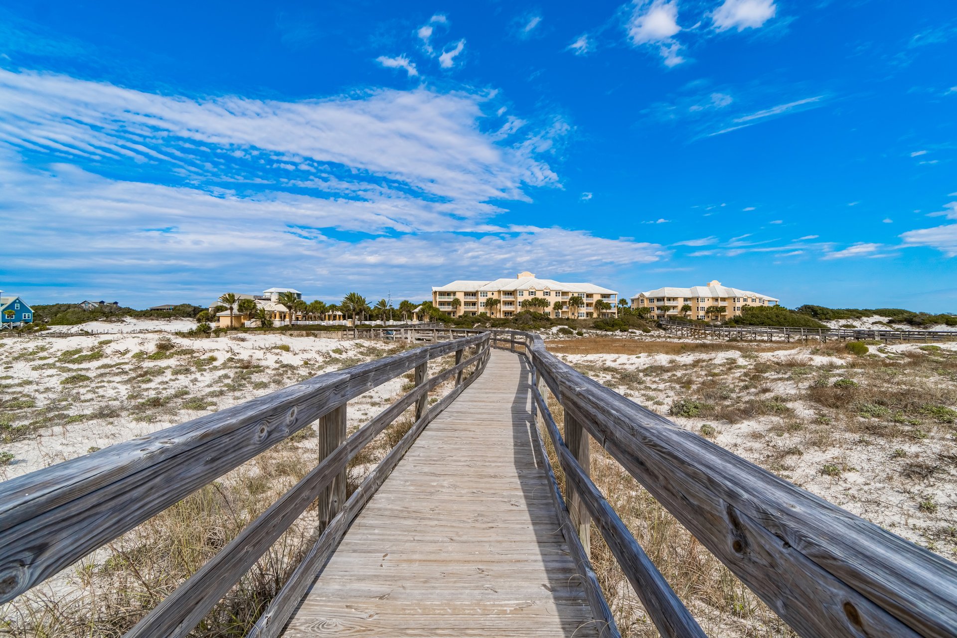 Mandevilla at Martinique 48