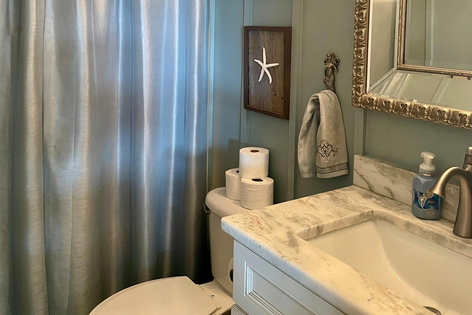 6528647.jpg