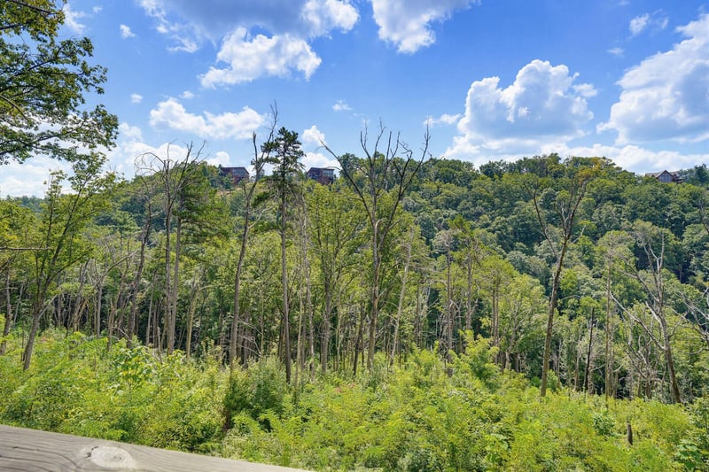 Lush forested hillsides and bright blue skies frame this scenic mountain setting, offering a peaceful retreat surrounded by natures beauty.