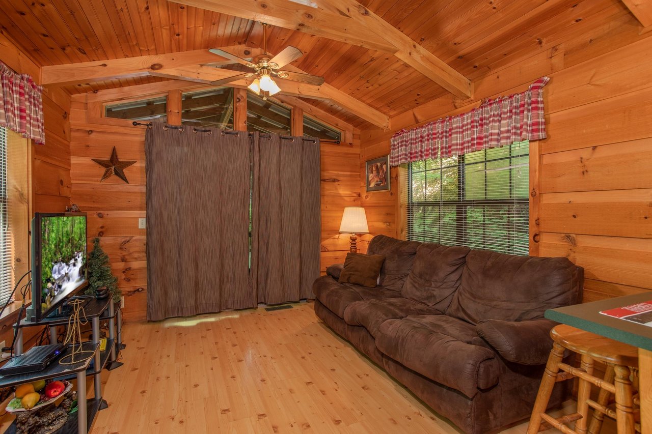 living room with couch and television at angels dream a 1 bedroom cabin rental located in gatlinburg