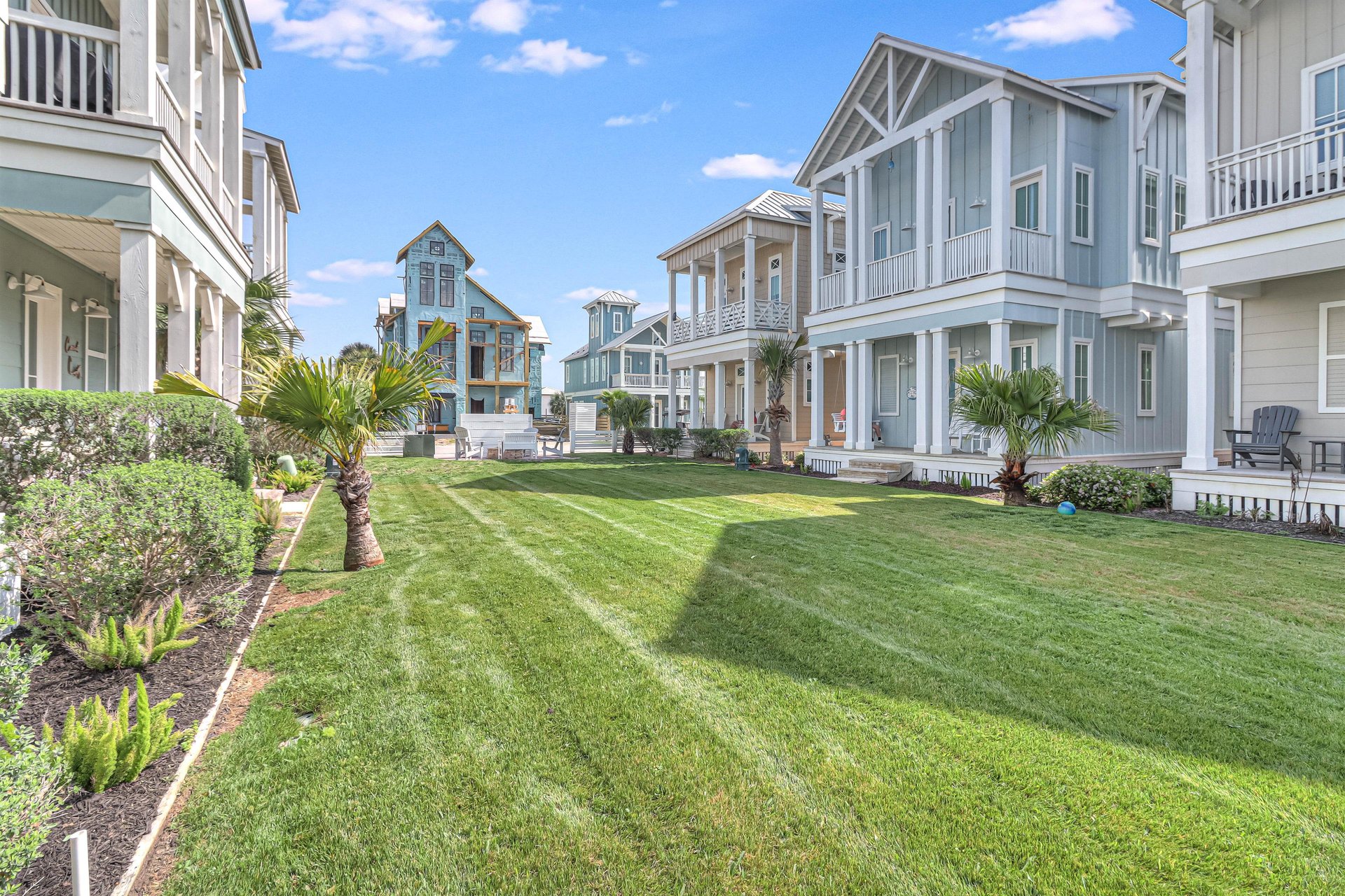 View from Back Porch