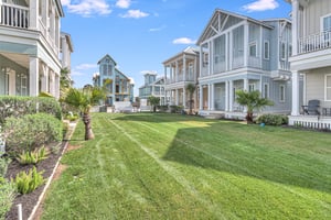 View from Back Porch