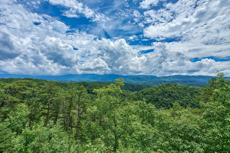 View from I Do Love Views cabin
